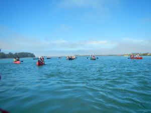 2013-08-19 Elkhorn Slough